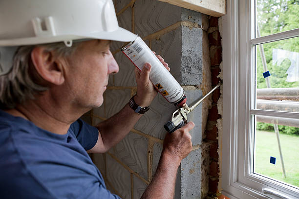 Best Cellulose Insulation in Preston, MN