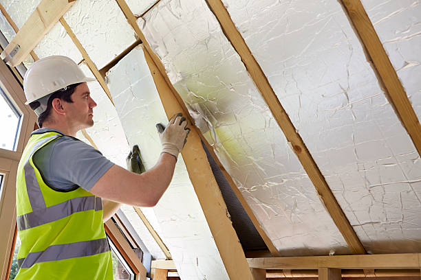 Best Residential Insulation in Preston, MN